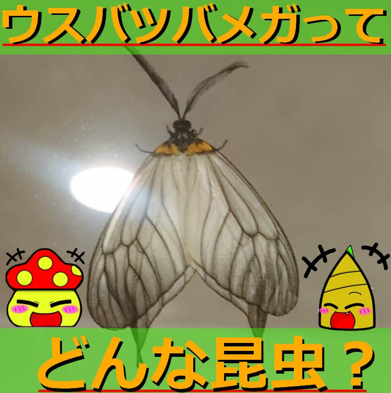 Thumbnail of post image 135